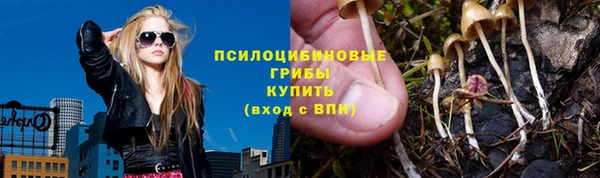 мет Белокуриха