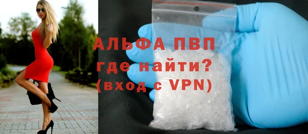 spice Беломорск