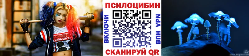 Галлюциногенные грибы прущие грибы Болохово